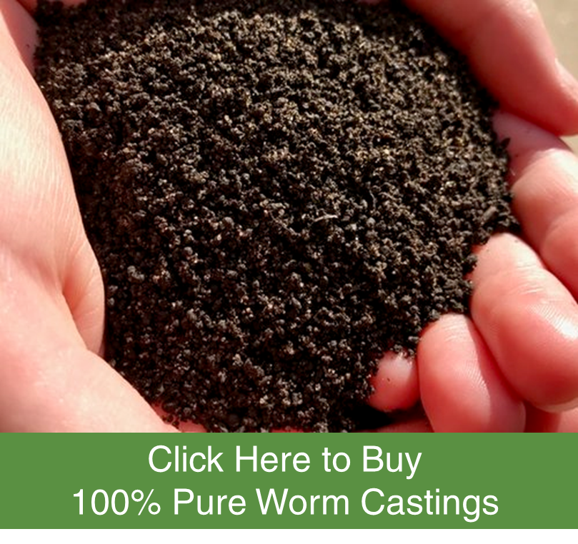 Organic Worm Castings For Sale