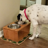 Meijer Elevated Feeder Dog Diner, 12, Large