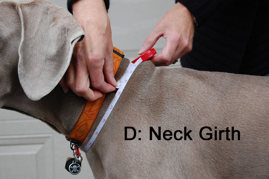 neck girth dog