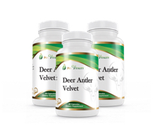 Deer antler velvet