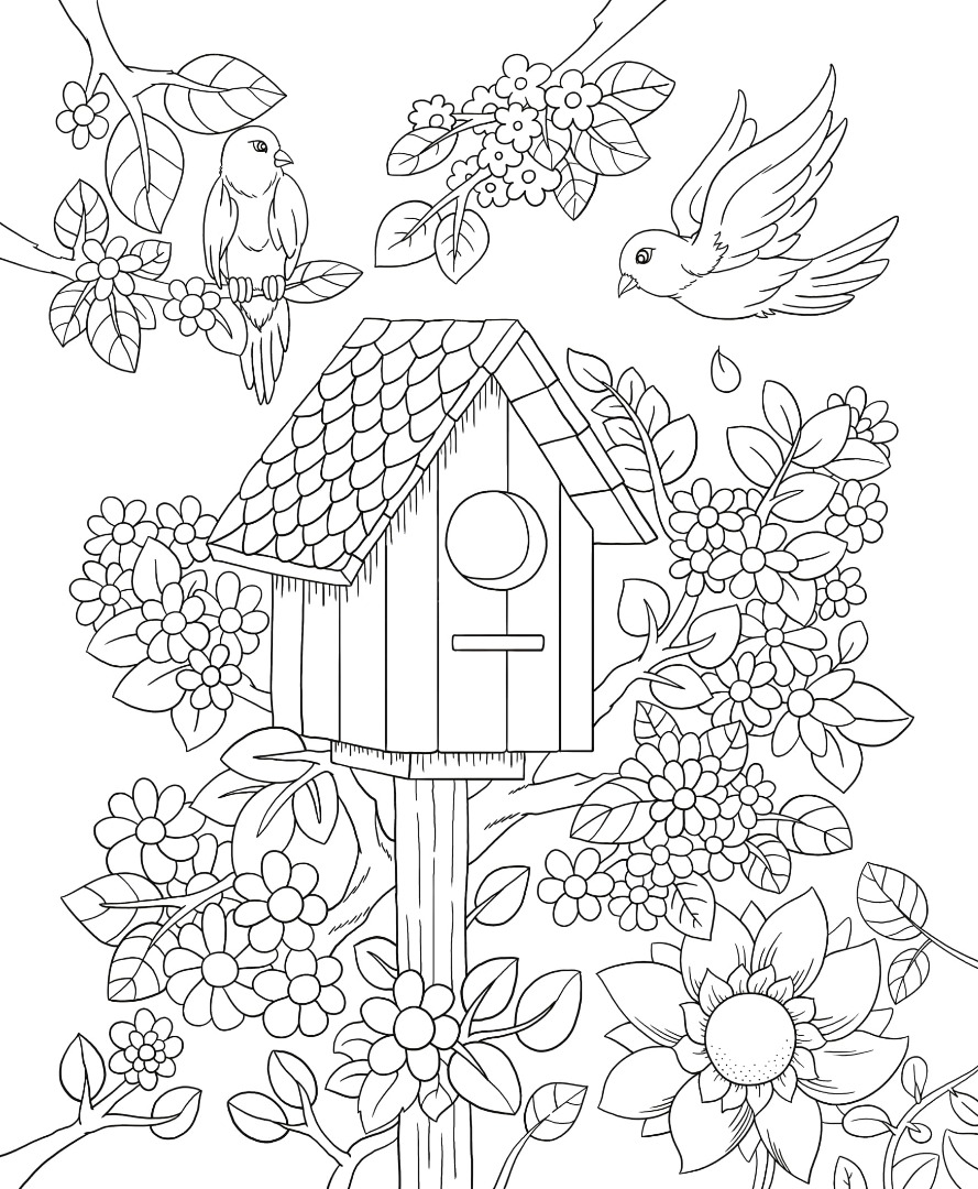 Download Freebie Friday Birdhouse Adult Coloring Book TY Page