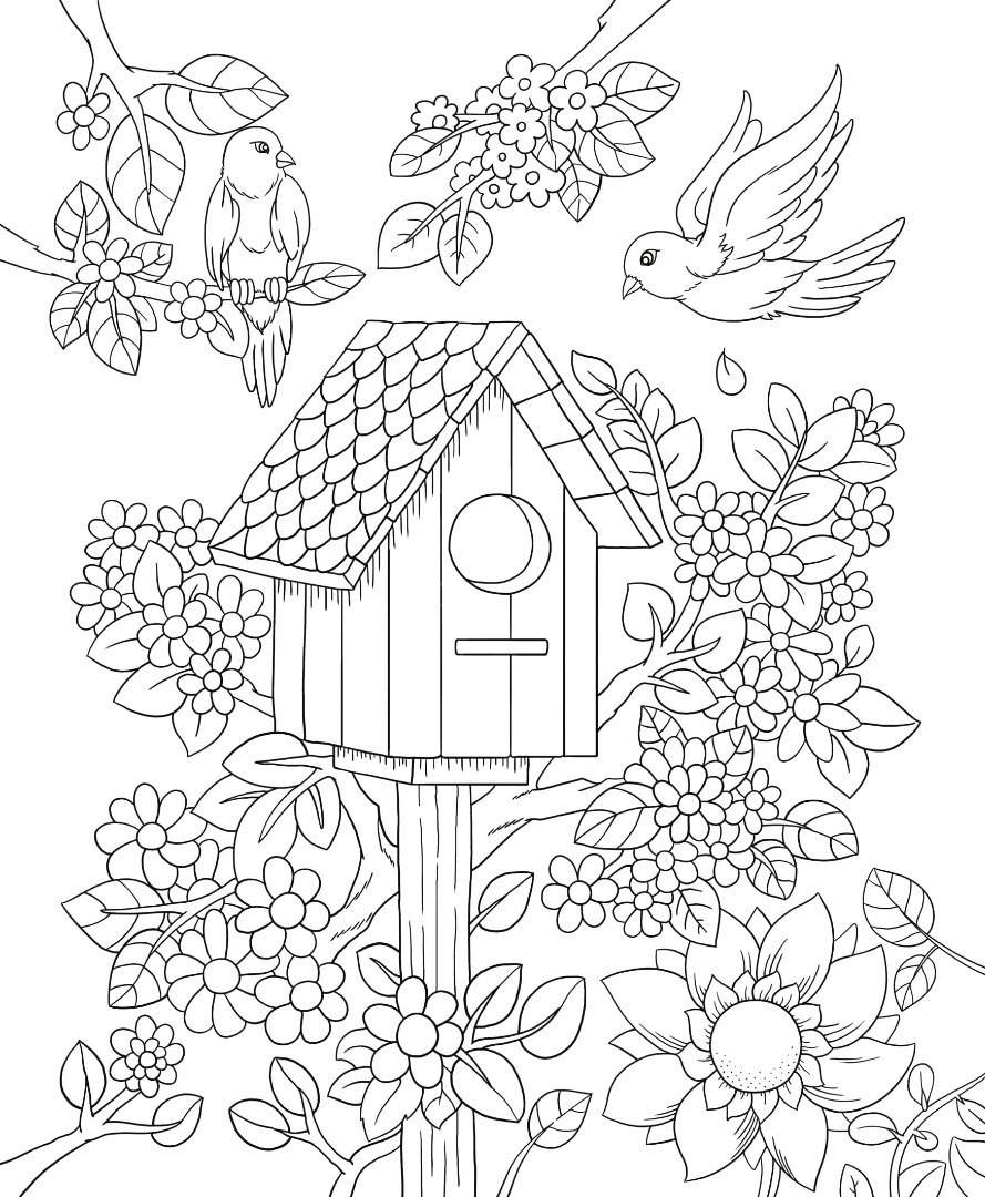 Freebie Friday Birdhouse Adult Coloring Book TY Page