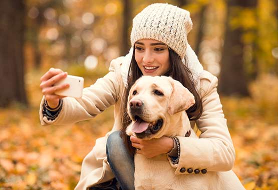 joint supplements for labradors