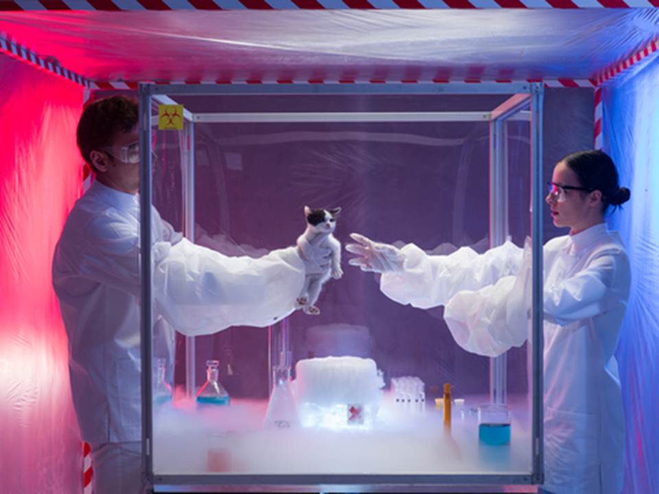 scientists