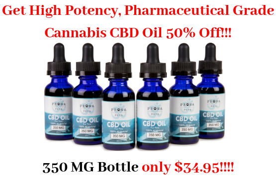 How Long Can A Dog Live With Mammary Cancer Pranapets Com Prana Pets